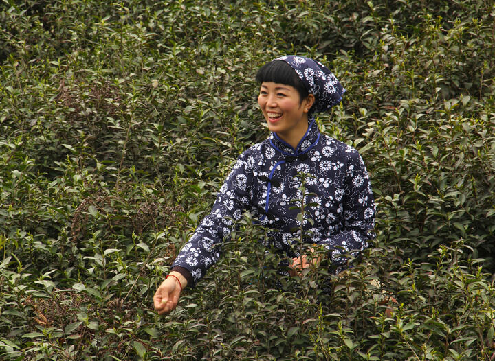 热荐8